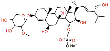 Laeviuscoloside D